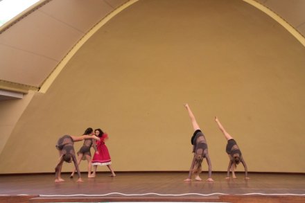 Pokazy grup tanecznych