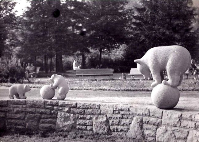 Niedźwiadki w parku - zdjęcie archiwalne