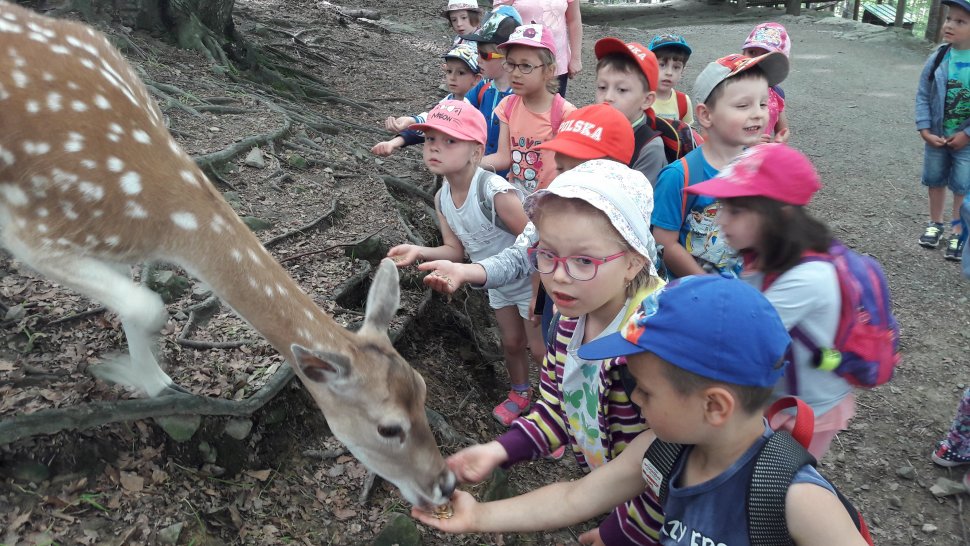 Dzieci z wiślańskiego przedszkola podczas zabawy w Lesnym Parku Niepodzianek