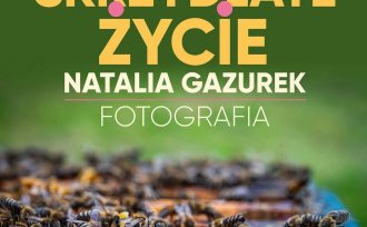 Skrzydlate życie