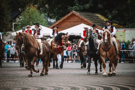 Dożynki 2025 fot. Daniel Franek