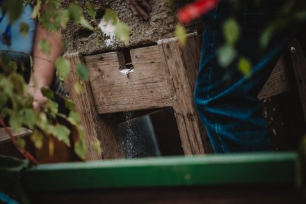 Dożynki 2025 fot. Daniel Franek