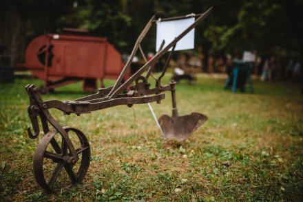 Dożynki 2025 fot. Daniel Franek