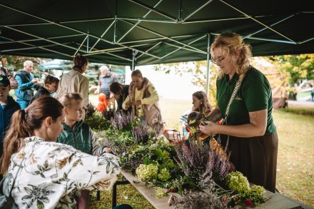 Dożynki 2025 fot. Daniel Franek