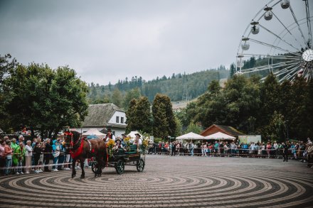 Dożynki 2025 fot. Daniel Franek