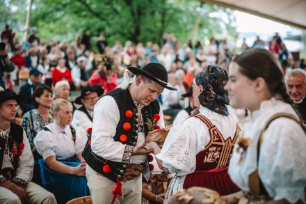 Dożynki 2025 fot. Daniel Franek