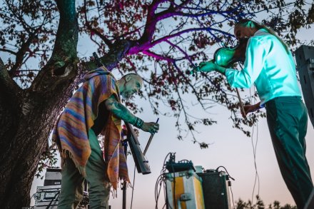 gwiazdy, kosmosy, perseidy