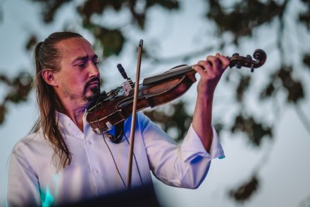 gwiazdy, kosmosy, perseidy