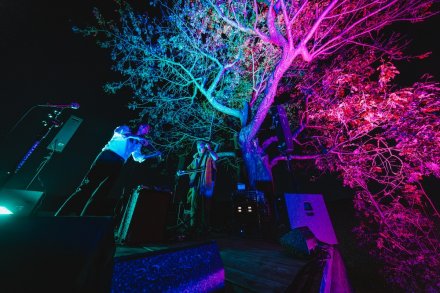 gwiazdy, kosmosy, perseidy