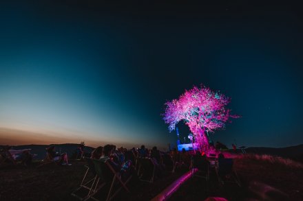 gwiazdy, kosmosy, perseidy