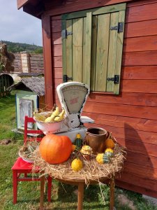 farma dyniowa w Agroturystyce u Gazdy