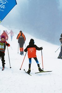 VI Bieg O Puchar Wisły