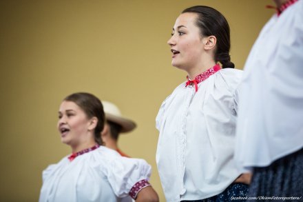 Występ zespołu Istebna, fot. Daniel Franek