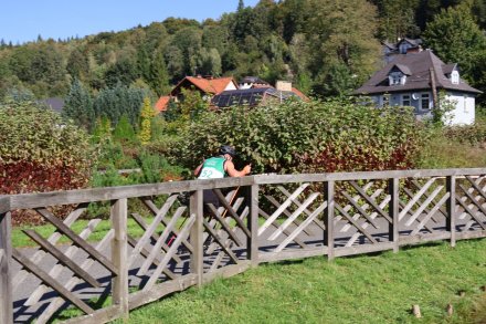 XVII Mistrzostwa w Sprintach na Nartorolkach stylem klasycznym