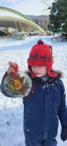 Ferie zimowe w Domu Kultury 2026