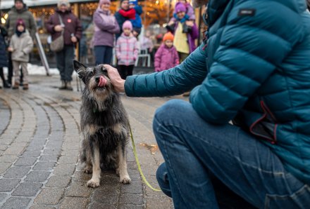 Wisła zagrała razem podczas 34. Finału WOŚP