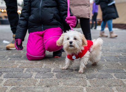 Wisła zagrała razem podczas 34. Finału WOŚP