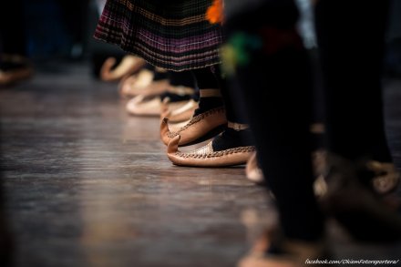 Abrasevic z Cacka - Serbia