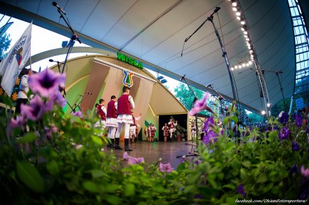 Ardeleana z Campia Turzii - Rumunia