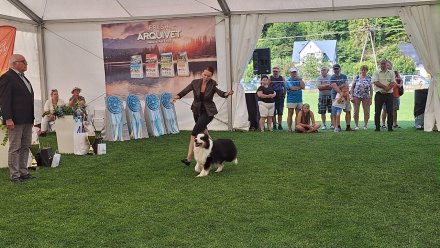 Międzynarodowa Wystawa Psów Rasowych