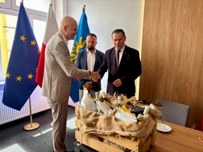 Delegacje miast partnerskich