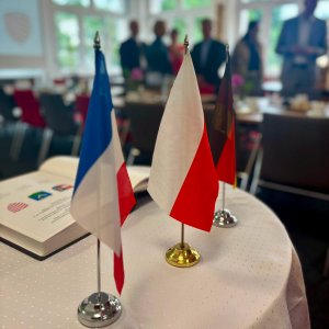 Delegacje miast partnerskich
