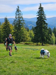 XVII Mistrzostwa Polski w Dogtrekkingu