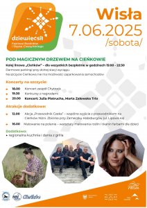 Dziewięćsił