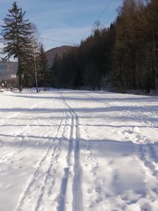 Trasy biegowe w Jaworniku