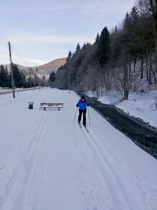 Trasy biegowe w Jaworniku