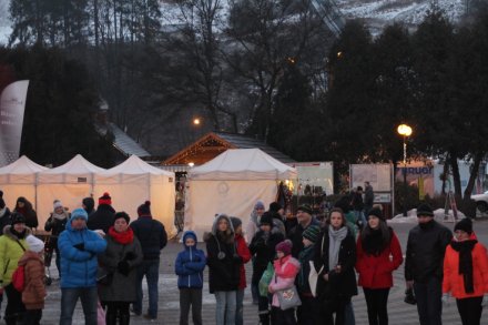 Publiczność podczas występów