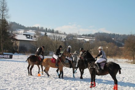 Zawodnicy Snow Polo
