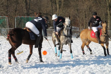 Zawodnicy Snow Polo