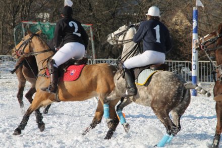 Zawodnicy Snow Polo