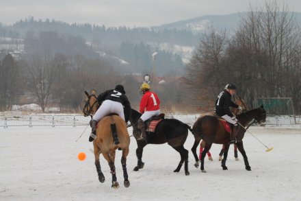 Zawodnicy podczas meczu