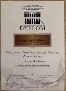 Brązowy medal - Chory jednorodne