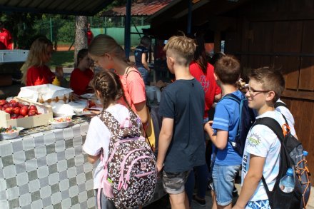 Drobny poczęstunek dla uczestników pikniku