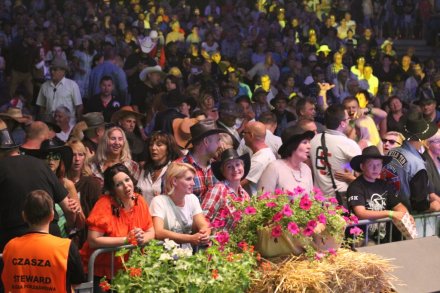 Publiczność bawiąca się pod sceną