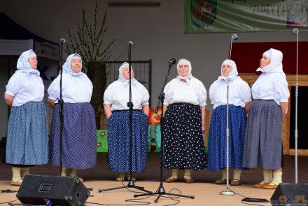 Stejizbianki na scenie w Zebrzydowicach/fot. S.Konopka/ox.pl
