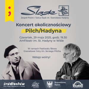 Grafika koncertu