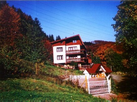 CZAJKA