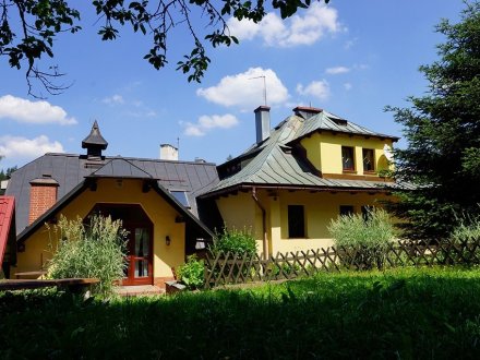 Villa Goździk z ogrodu