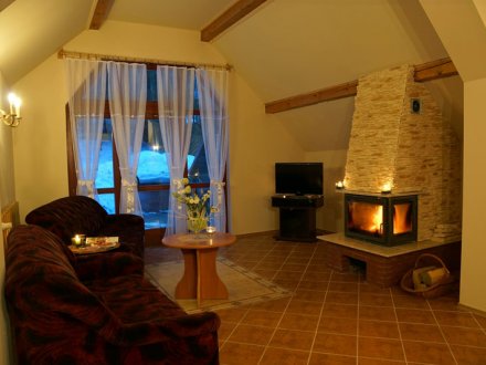 Salon z kominkiem