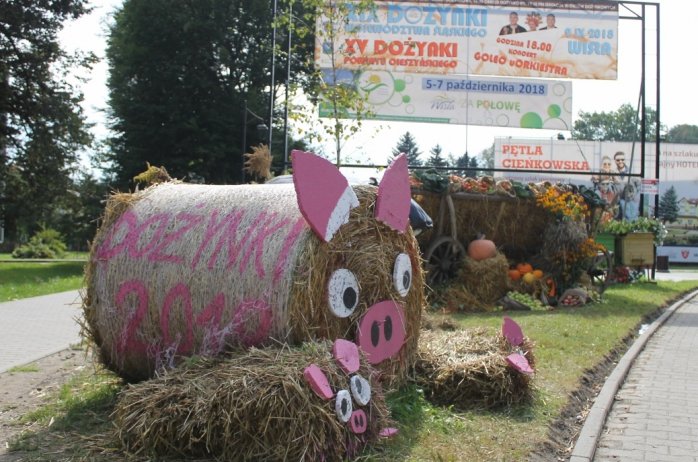 Zaproszenie na Dożynki