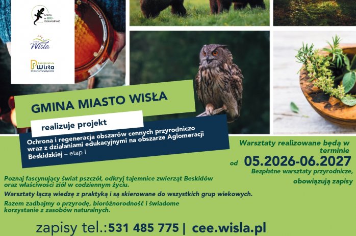 grafika
