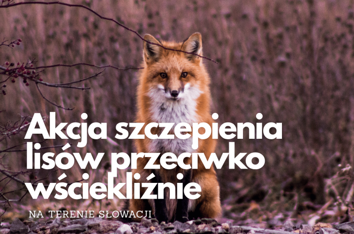 szczepienie
