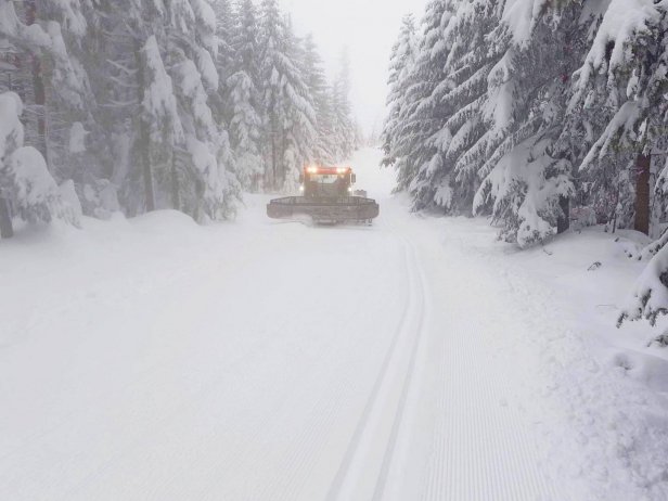 Trasy biegowe na Kubalonce