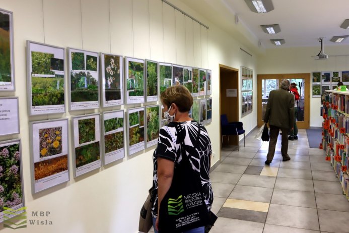 Wystawa "Zieliny i strómy na Wisłach"