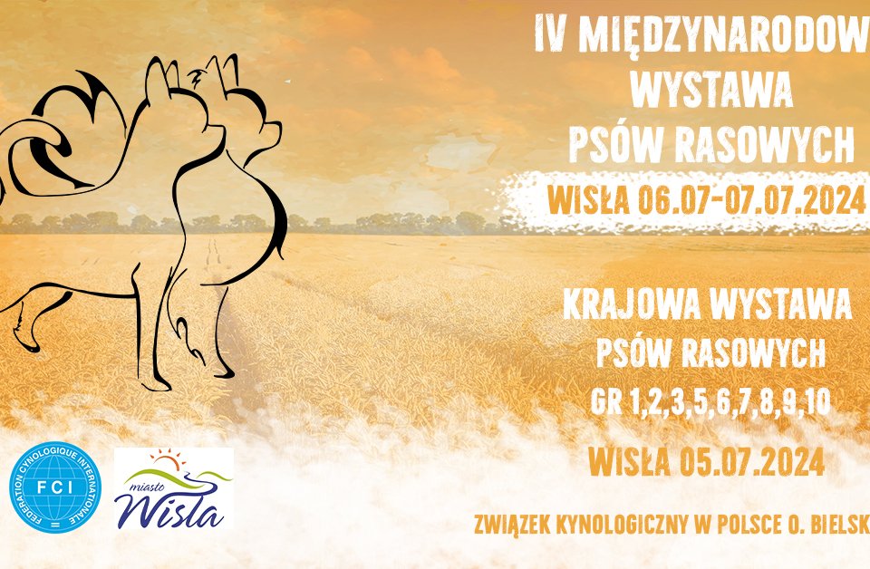 IV Międzynarodowa Wystawa Psów Rasowych