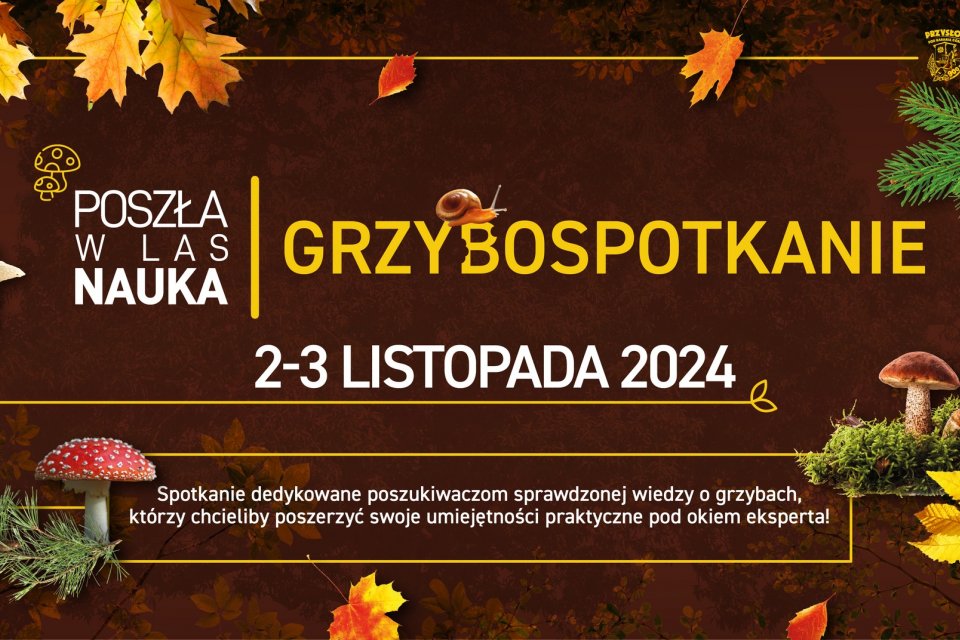 Grzybobranie na Przysłopiu